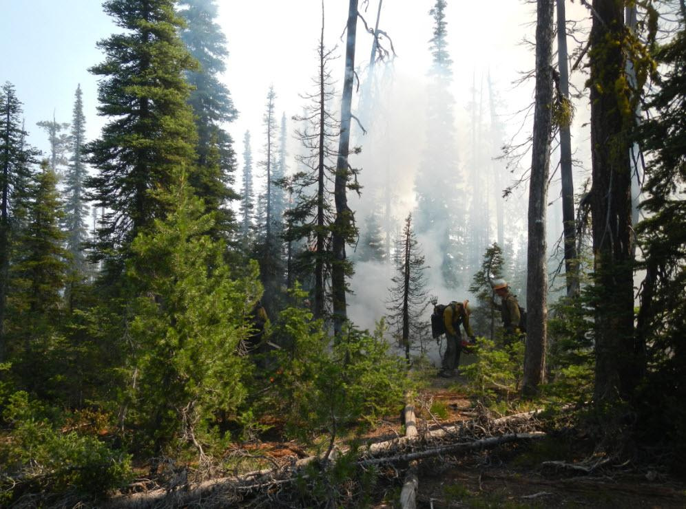 Ridge Fire Boise National Forest